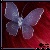 1136.gif